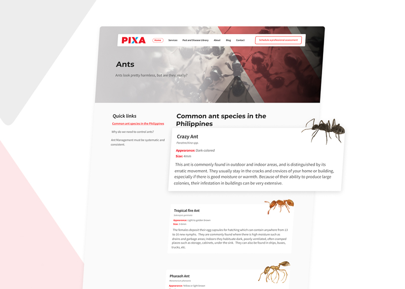 On each page dedicated to a specific pest, we included a comprehensive illustration of the commonly found species in the Philippines. This feature aids users in identifying the specific pest species they may be encountering.